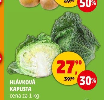 Hlávková kapusta