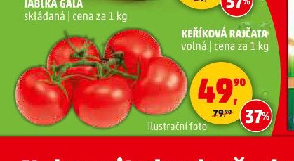 Keříková rajčata