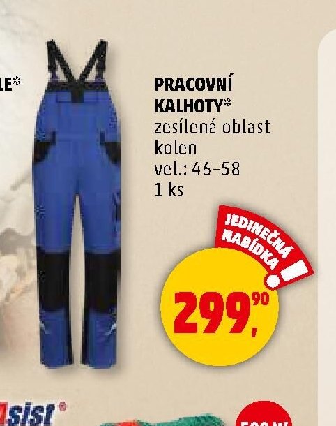 PRACOVNÍ KALHOTY