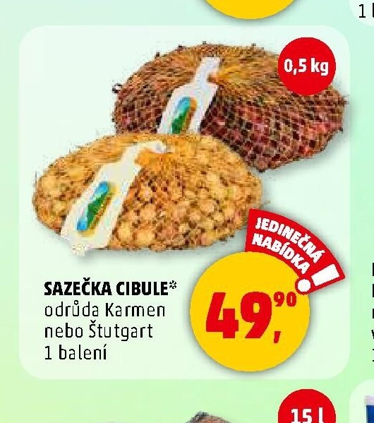 SAZEČKA CIBULE*