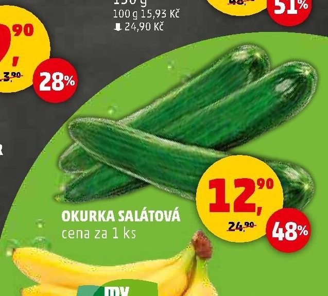 OKURKA SALÁTOVÁ