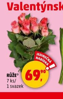 RŮŽE 7 ks