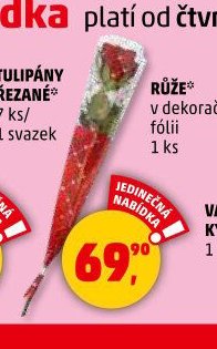 RŮŽE 1 ks