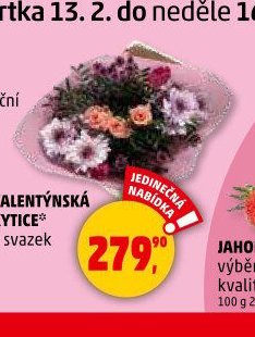 VALENTÝNSKÁ KYTICE