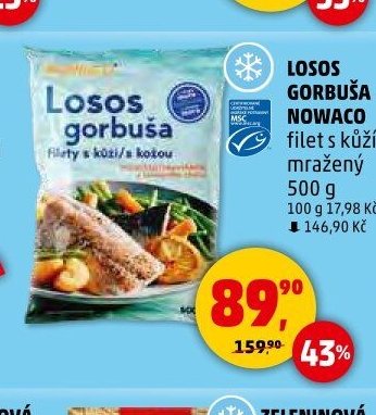 LOSOS GORBUŠA NOWACO