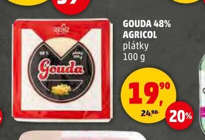 GOUDA 48% AGRICOL