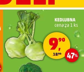 KEDLUBNA