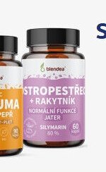 Blendea Stropestre