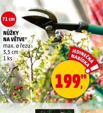 NŮŽKY NA VĚTVE