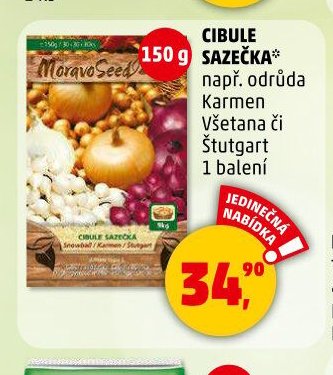 CIBULE SAZEČKA