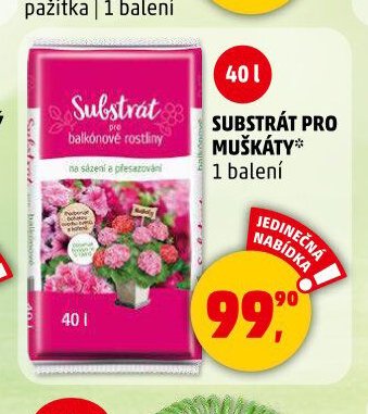 SUBSTRÁT PRO MUŠKÁTY