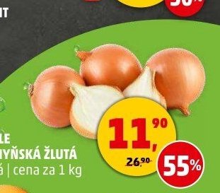 Cibule kuchyňská žlutá