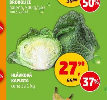 HLÁVKOVÁ KAPUSTA