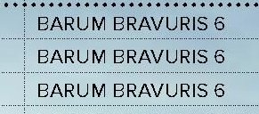 Barum Bravuris 5