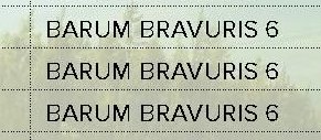 Barum Bravuris 5