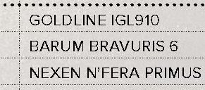 Barum Bravuris 5