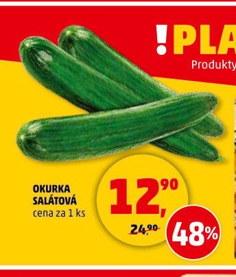 Okurka salátová