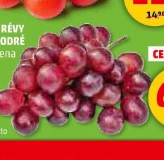 Hrozny révy vinné modré 1 kg