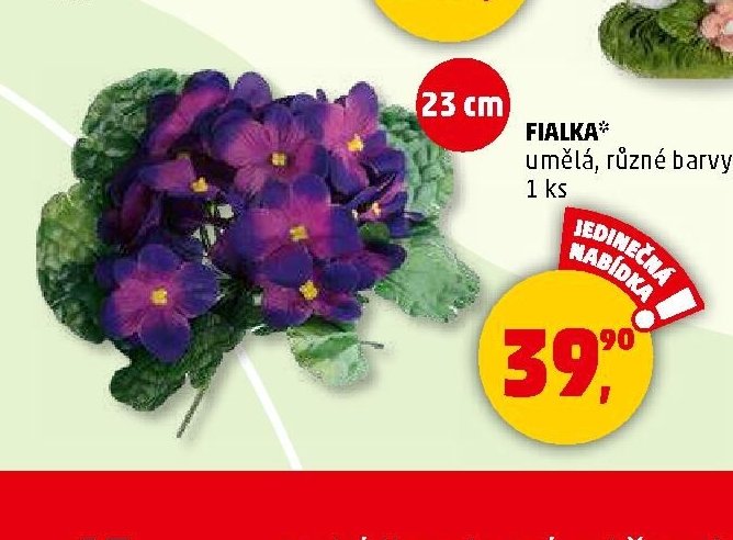 Fialka