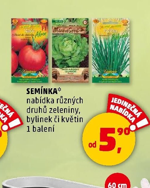 Semínka