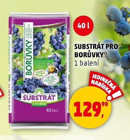 SUBSTRÁT PRO BORŮVKY