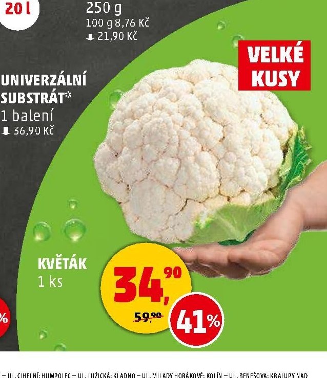 Květák 1 ks