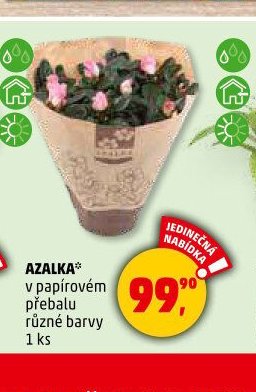 AZALKA
