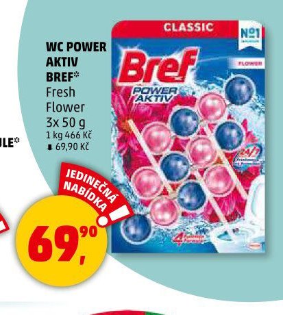 WC POWER AKTIV BREF FRESH FLOWER