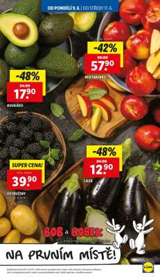 aktuální leták Lidl 9.6.2025-11.6.2025