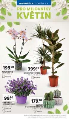 aktuální leták Lidl 9.6.2025-11.6.2025