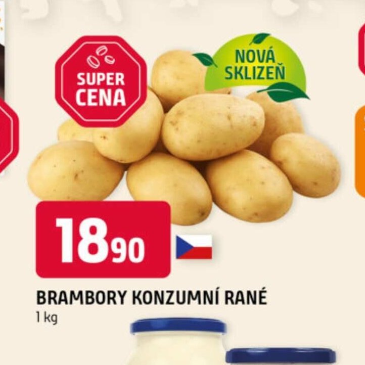 Brambory konzumní rané