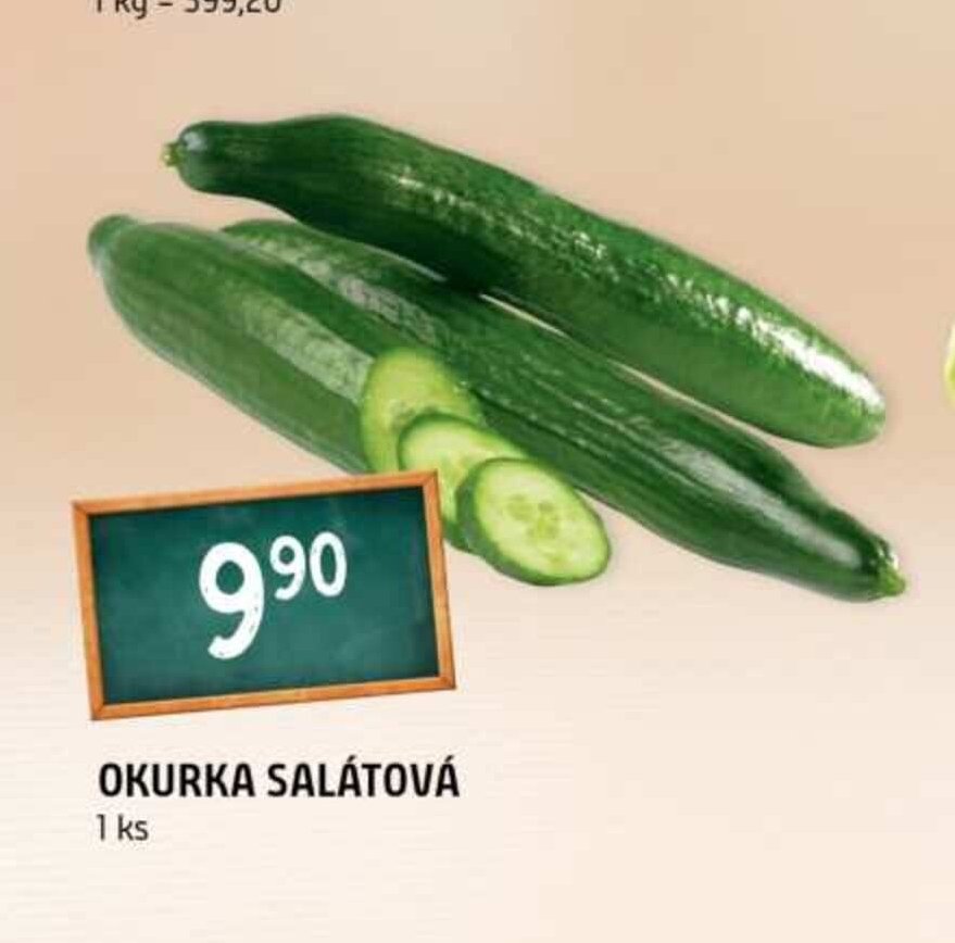 Okurka salátová