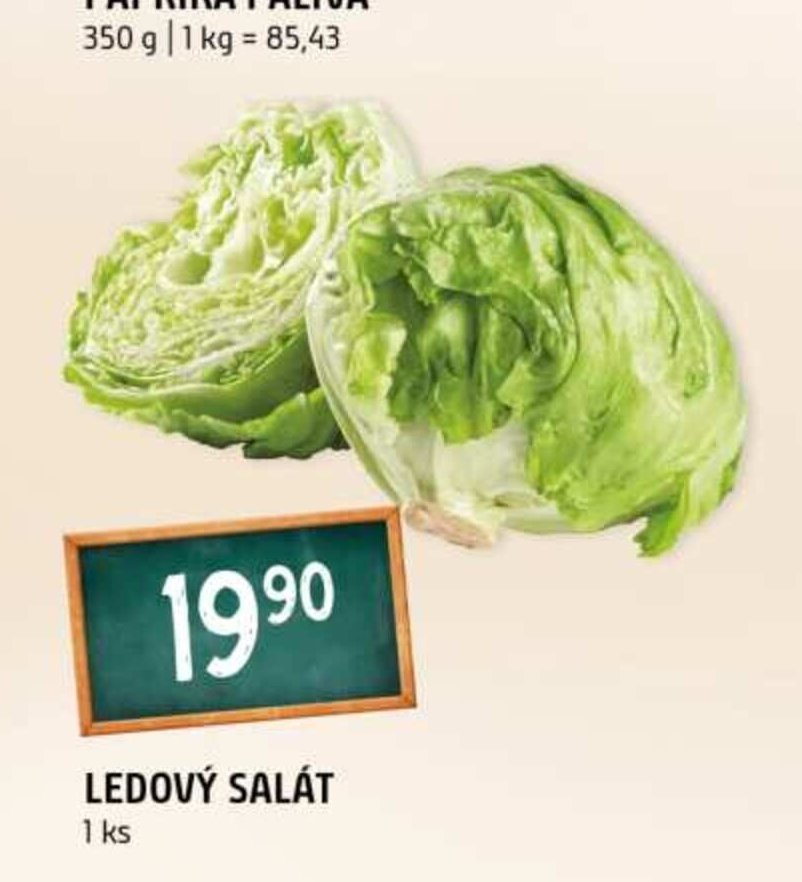 Ledový salát