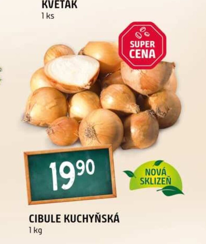 Cibule kuchyňská
