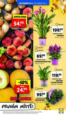 aktuální leták Lidl 28.7.2025-30.7.2025