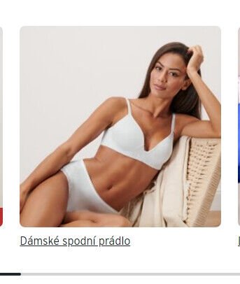 Dámské spodní prádlo