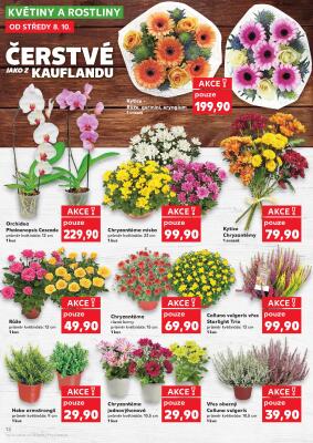aktuální leták Kaufland 8.10.2025-14.10.2025