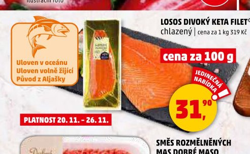 LOSOS DIVOKÝ KETA FILET