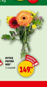 KYTICE PESTRÁ MIX