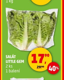 Salát Little Gem