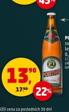 POUTNÍK světlé ležák