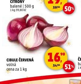 Cibule červená
