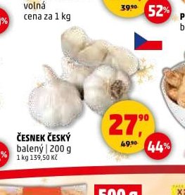 Česnek český