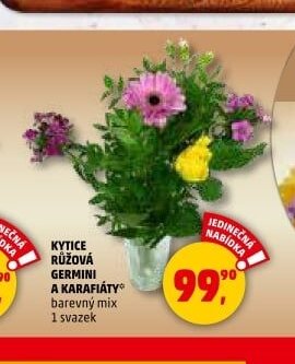 KYTICE RŮŽOVÁ GERMINI A KARAFIÁTY