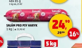 SALÁM PRO PSY HARYK