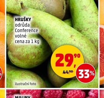 Hrušky Conference