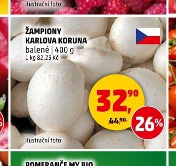 Žampiony Karlova Koruna