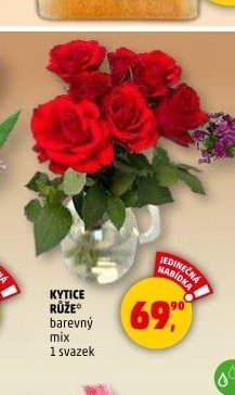 KYTICE RŮŽE