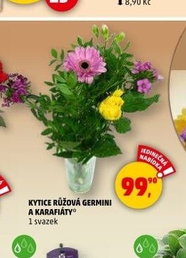 KYTICE RŮŽOVÁ GERMINI A KARAFIÁTY