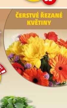 ČERSTVÉ ŘEZANÉ KVĚTINY